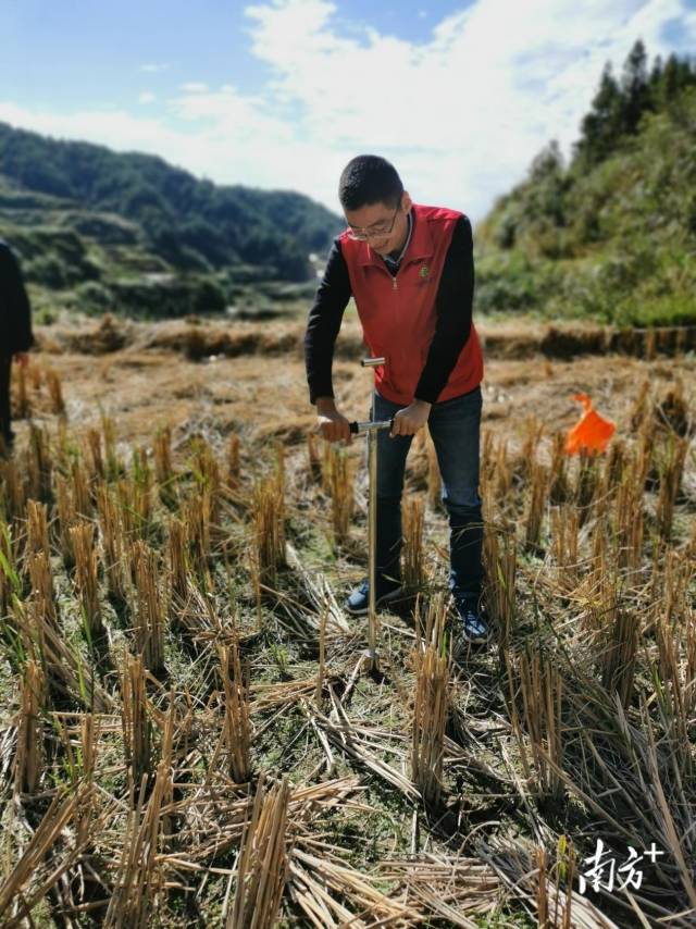 技術(shù)人員深入田間地頭開展土壤取樣、分析。通訊員供圖