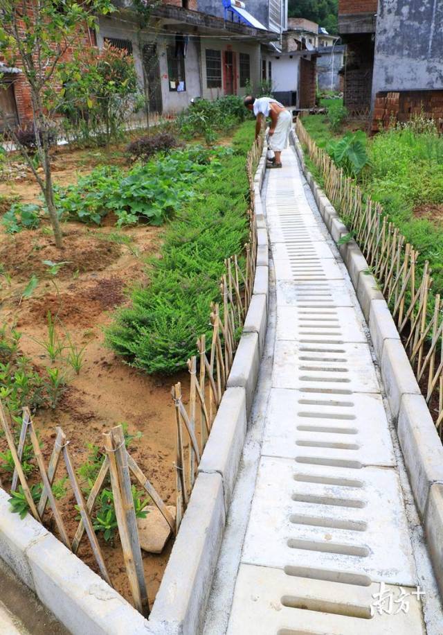 50個自然村建有污水處理系統(tǒng)。記者黃津 攝