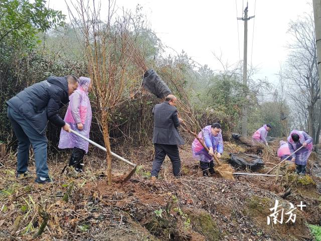 九陂鎮(zhèn)掀起全民義務(wù)植樹熱潮。